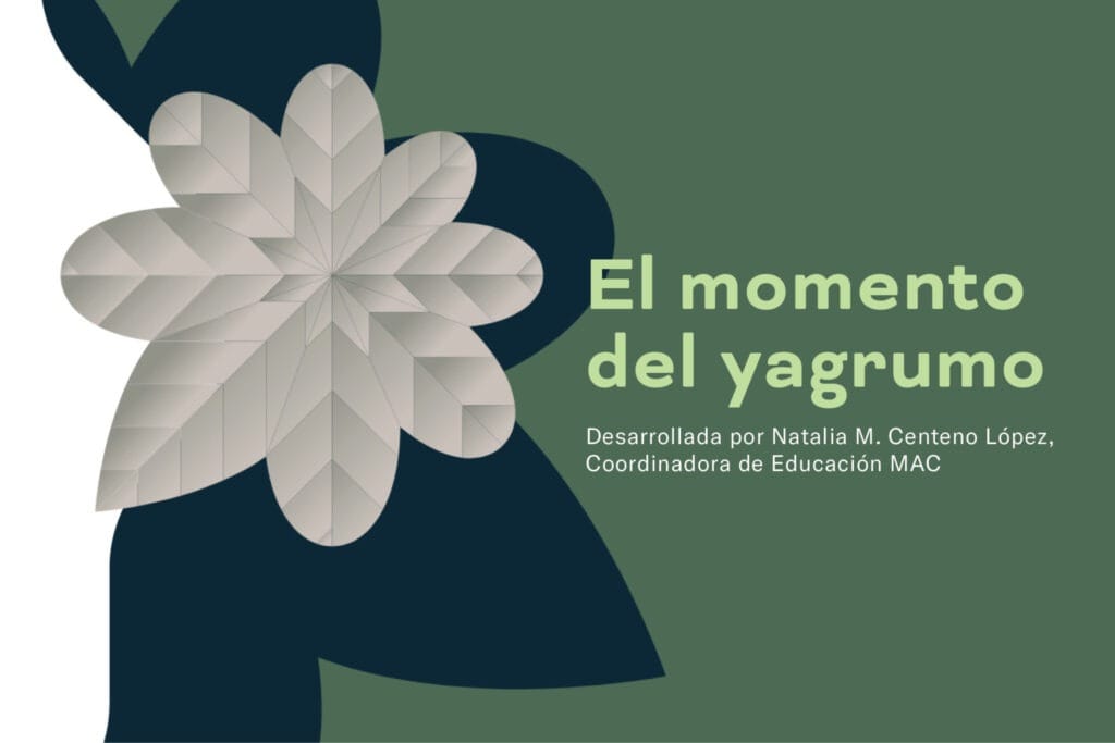 El Momento del Yagrumo (portada)