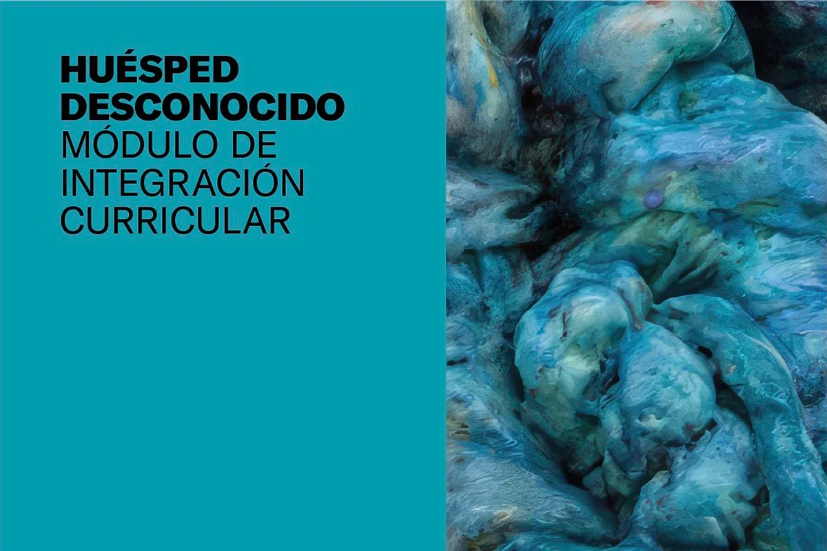 Huésped desconocido