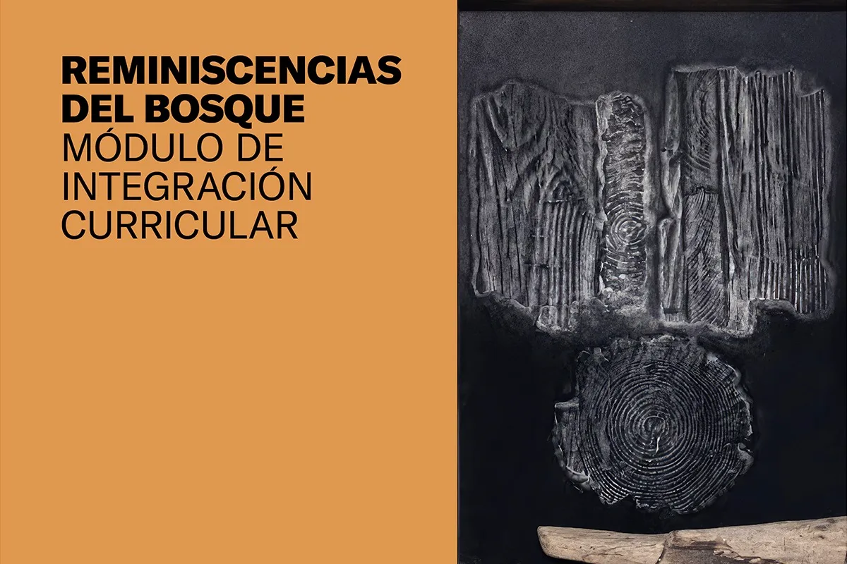 Reminiscencias del bosque