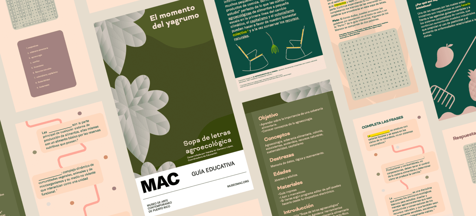 Sopa de letras agroecológica